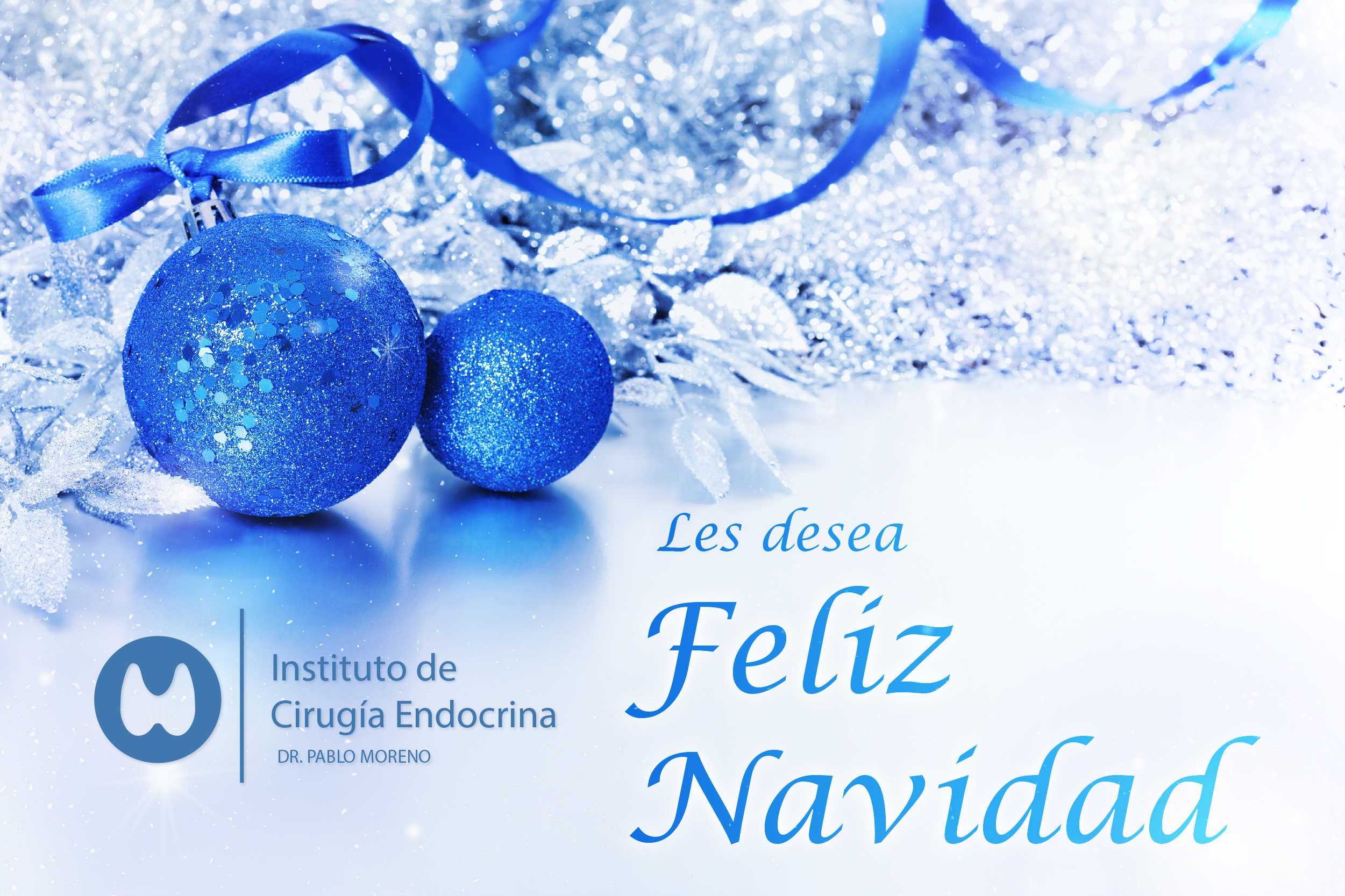 Felices Fiestas 2025 y un buen año 2026!